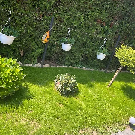 Kiscsillag Apartment Gyenesdias